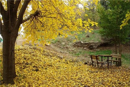 مدیریت پارک جنگلی سرخه حصار به شهرداری تهران واگذار می‌شود