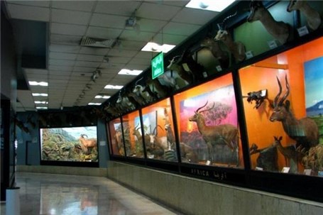 اول خرداد بازدید از موزه تنوع زیستی پردیسان رایگان است