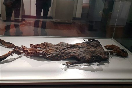 بازدید از آثار« موزه درنتس هلند » تنها با ۵ هزار تومان/ درآمد ۷۲۰ میلیون تومانی از موزه لوور در تهران