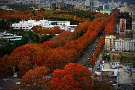 خیابان ولیعصر(عج) تهران در فهرست موقت یونسکو قرار گرفت