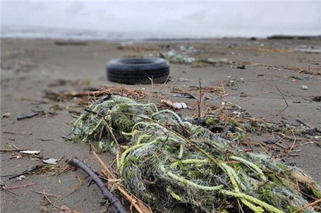 عامل آلودگی‌های دریای خزر چیست؛ صنعت، شهر یا پسماند؟