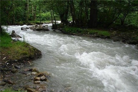 رودخانه‌های شمال کرودخانه‌های شمال کشور زنده‌اند/ ادعای کلانتری از سر بی‌اطلاعی است