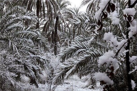 بارش کم سابقه برف در بغداد و کربلا