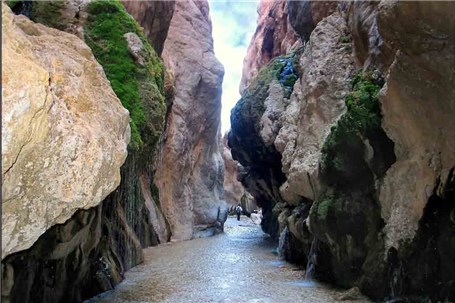 گردشگران متوقف شده در طبس مجوز دارند