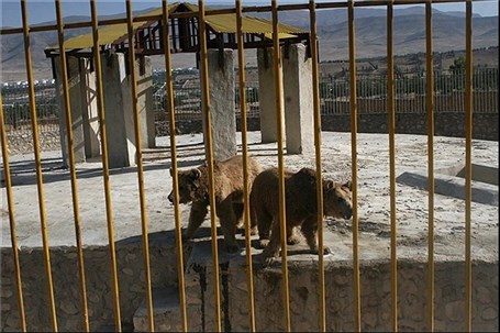 ۷ باغ‌وحش در کشور تعطیل شد