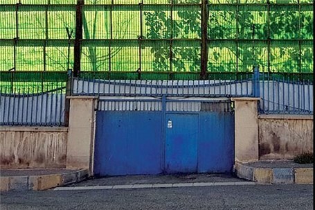 خبری از ۱۷ ببر نیست