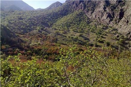 تجربه زمستان گردی در طبیعت بهاری گچساران